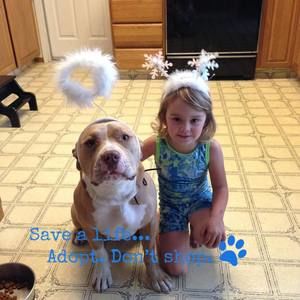 Meet your Posher, Scott